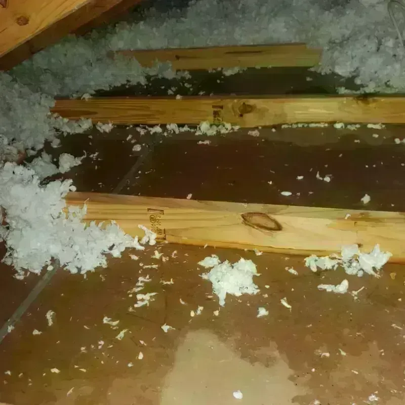 Attic Water Damage in Grambling, LA